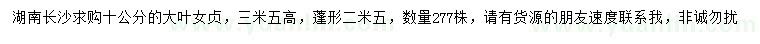 求購10公分大葉女貞