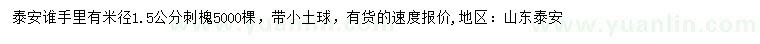 求購米徑1.5公分刺槐