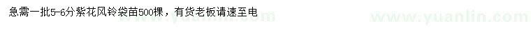 求購5-6公分紫花風鈴