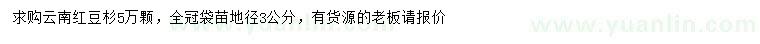 求購地徑3公分云南紅豆杉