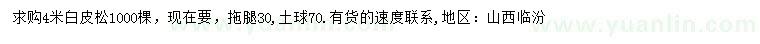 求購4米白皮松