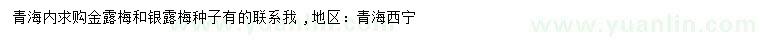 求購金露梅、銀露梅種子