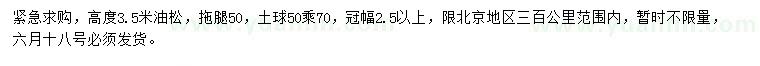 求購(gòu)高度3.5米油松