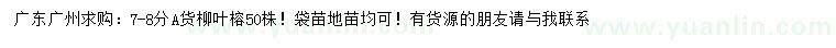 求購7-8公分柳葉榕