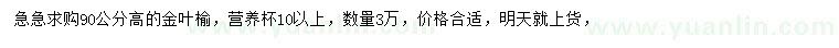 求購(gòu)高90公分金葉榆
