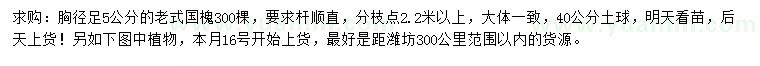 求購胸徑5公分老式國槐