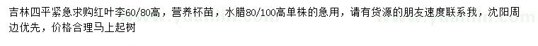 求購高60、80公分紅葉李、80、100公分水蠟