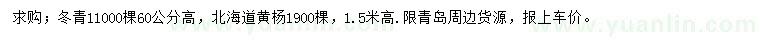 求購高60公分冬青、150公分北海道黃楊