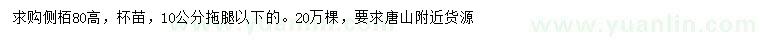 求購高80公分側(cè)柏