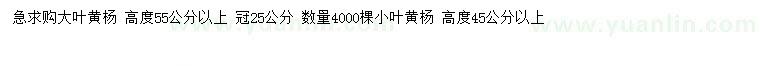 求購高55公分以上大葉黃楊、45公分以上小葉黃楊