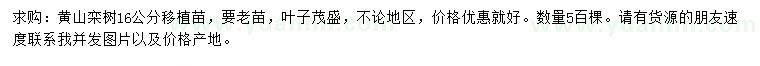 求購16公分黃山欒樹