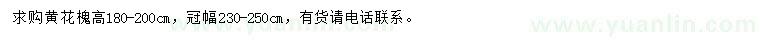 求購高180-200公分黃花槐