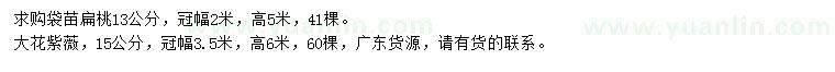 求購(gòu)13公分扁桃、15公分大花紫薇