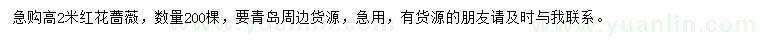 求購高2米紅花薔薇