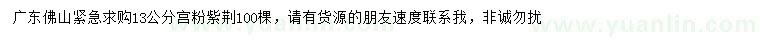 求購13公分宮粉紫荊