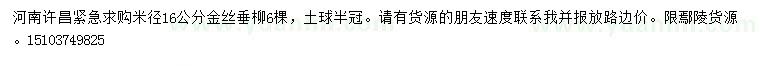 求購米徑16公分金絲垂柳