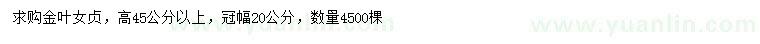求購高45公分以上金葉女貞
