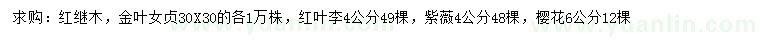 求購紅繼木、金葉女貞、紅葉李等