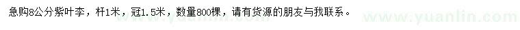 求購(gòu)8公分紫葉李