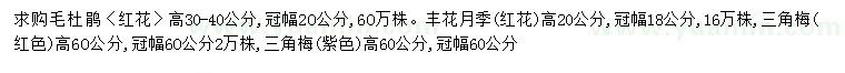 求購毛杜鵑、豐花月季、三角梅等