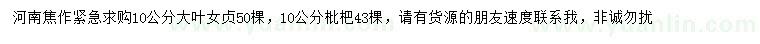 求購10公分大葉女貞、枇杷