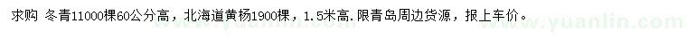 求購冬青、北海道黃楊