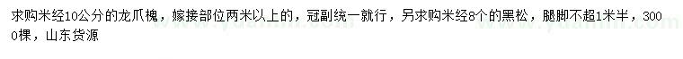 求購米經(jīng)10公分龍爪槐
