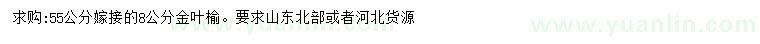 求購8公分金葉榆