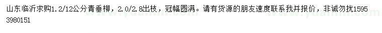 求購12公分青垂柳