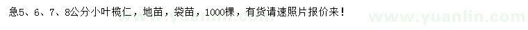 求購(gòu)5、6、7、8公分小葉欖仁