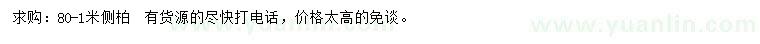 求購80-1米側柏