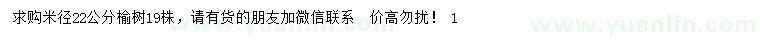 求購米徑22公分榆樹