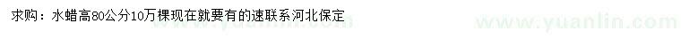 求購高80公分水蠟