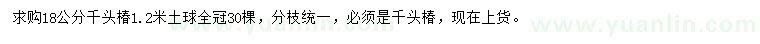 求購(gòu)18公分千頭椿