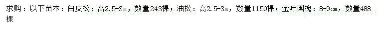 求購(gòu)白皮松、油松、金葉國(guó)槐