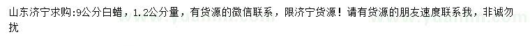 求購9公分白蠟