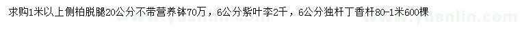 求購側(cè)柏、紫葉李、丁香
