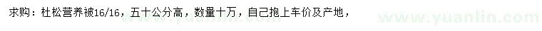 求購高50公分杜松