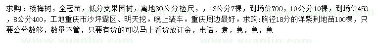 求購楊梅樹