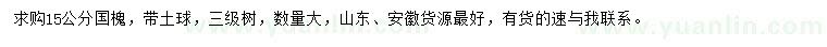 求購15公分國槐