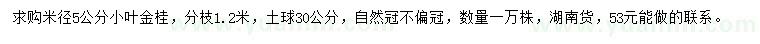 求購米徑5公分小葉金桂