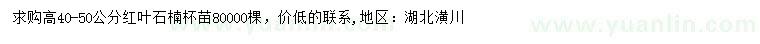 求購(gòu)高40-50公分紅葉石楠