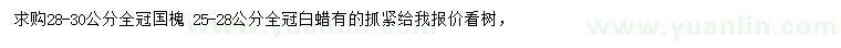 求購(gòu)28-30公分國(guó)槐、25-28公分白蠟