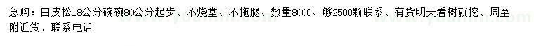 求購18公分白皮松