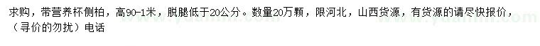 求購(gòu)高90-1米側(cè)柏