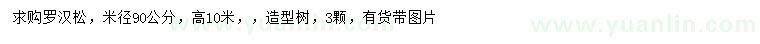 求購米徑90公分羅漢松
