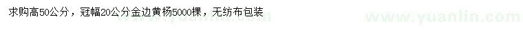 求購高50公分金邊黃楊