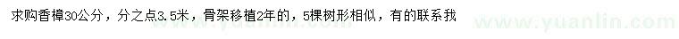 求購30公分香樟