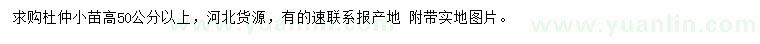 求購高50公分以上杜仲小苗