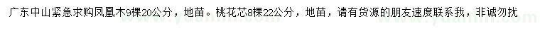 求購(gòu)20公分鳳凰木、22公分桃花芯